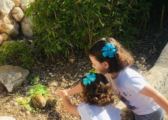 Stunning Sea View With Pool - Casa Mirablau Villa *